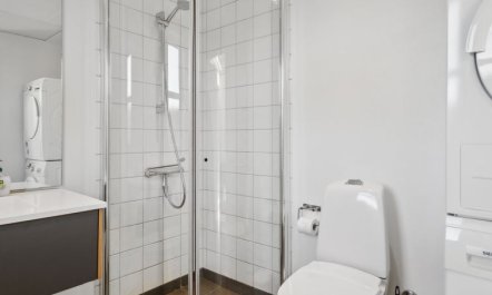 'Bjerne' - 200m from the sea 7