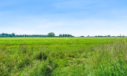 'Patrice' - 300m from the sea 3