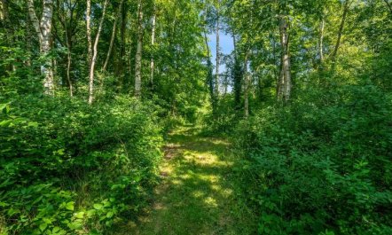 'Patrice' - 300m from the sea 2