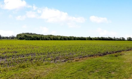 'Rahild' - 10km from the sea 7