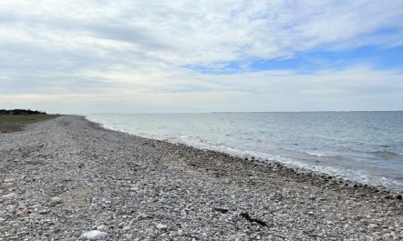 'Ewa' - 75m from the sea 2