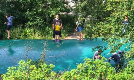 'Torsten' - 30m from the sea 4