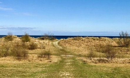 'Torsten' - 30m from the sea 2