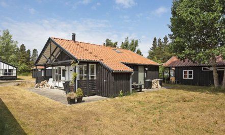 'Iolani' - 250m from the sea 5