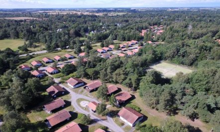 'Iolani' - 250m from the sea 2