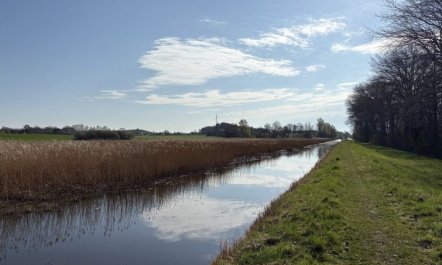 'Hotherus' -  from the sea 2