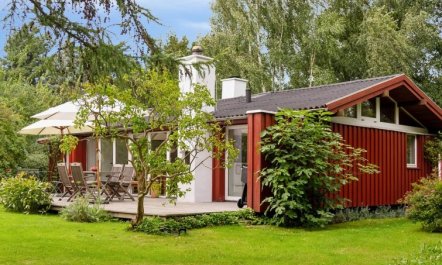 'Lauri' - 2.3km from the sea 4