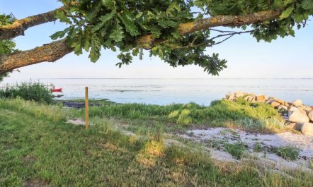 'Sasser' - 10m from the sea 3