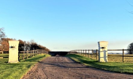 'Sasser' - 10m from the sea 2