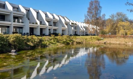 'Pekka' - 50m from the sea 1