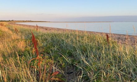 'Mayla' - 50m from the sea 4