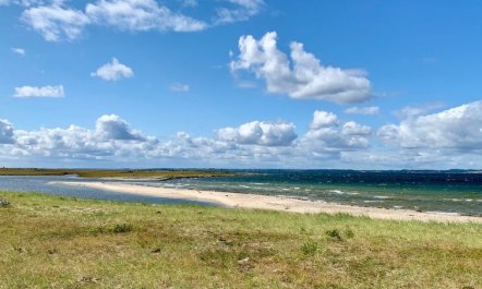 'Mayla' - 50m from the sea 3