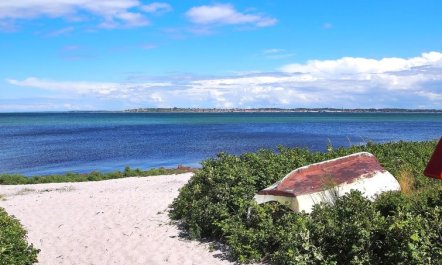 'Liselotte' - 275m from the sea 7