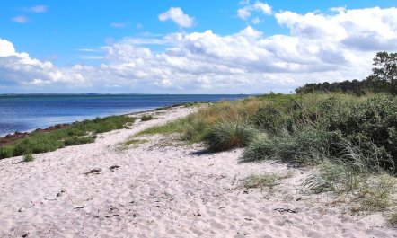 'Liselotte' - 275m from the sea 6