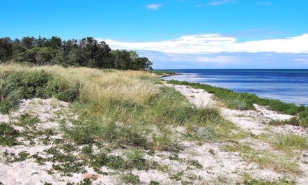 'Liselotte' - 275m from the sea 5