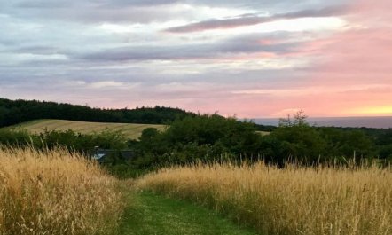 'Els' - 1.8km from the sea 2