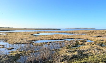 'Gregor' - 300m from the sea 6