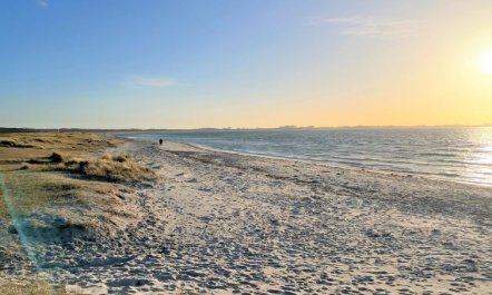 'Gregor' - 300m from the sea 5