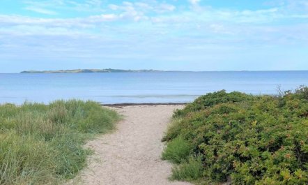 'Gregor' - 300m from the sea 2