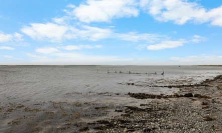 'Kari' - 50m from the sea 5