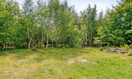 'Fridborg' - 425m from the sea 6