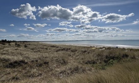 'Fridborg' - 425m from the sea 3