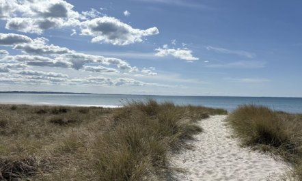 'Fridborg' - 425m from the sea 2