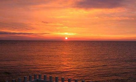 'Otis' - 10m from the sea 4