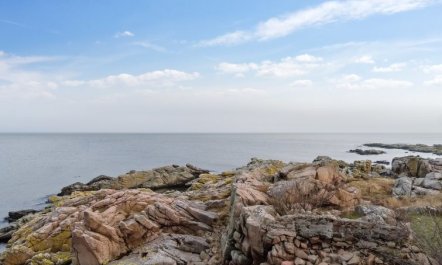 'Elsabeth' - 50m from the sea 5