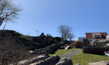 'Elsabeth' - 50m from the sea 4