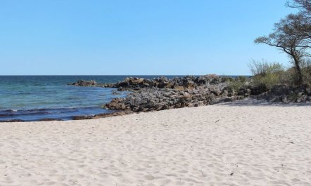 'Sandrine' - 400m from the sea 4