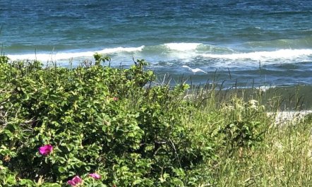 'Tuulikki' - 100m from the sea 3