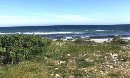 'Tuulikki' - 100m from the sea 2