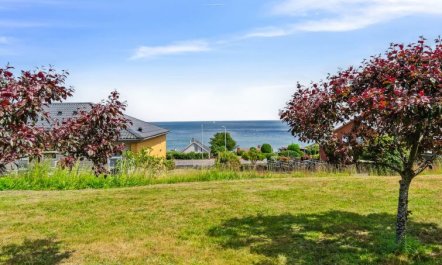 'Feodora' - 100m from the sea 6