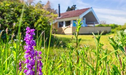 'Henric' - 75m from the sea 3