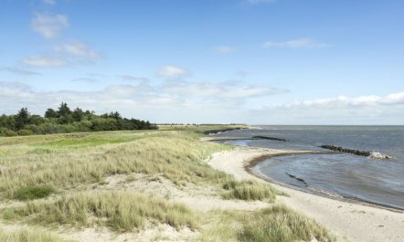 'Hughe' - 300m from the sea 2