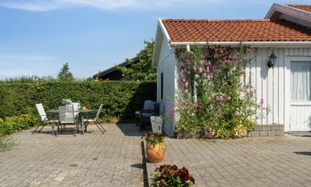 'Mikkeline' - 575m to the fjord 3