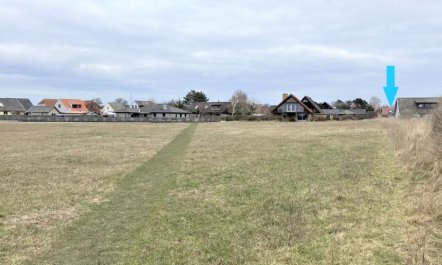 'Ottmar' - 150m from the sea 5