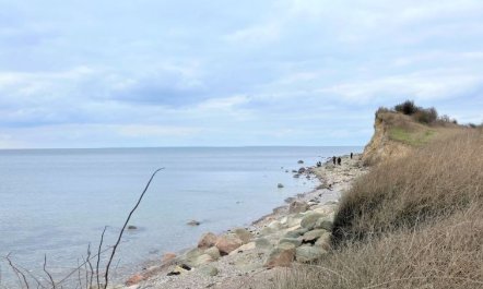 'Ottmar' - 150m from the sea 4