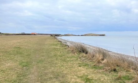 'Ottmar' - 150m from the sea 3