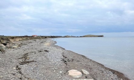 'Ottmar' - 150m from the sea 2