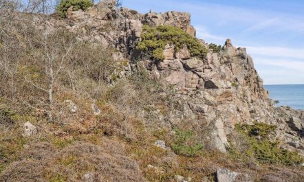 'Caren' - 75m from the sea 5