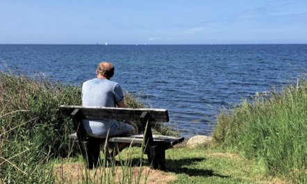 'Faina' - 100m from the sea 7