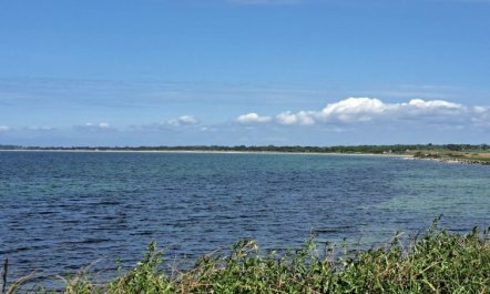 'Faina' - 100m from the sea 3