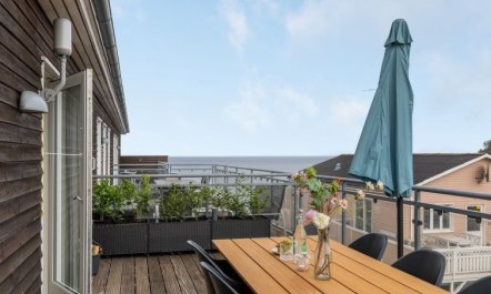 'Hermann' - 100m from the sea