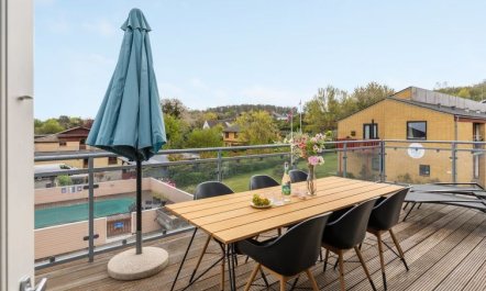 'Hermann' - 100m from the sea 3