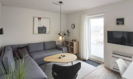 'Hermann' - 100m from the sea 1