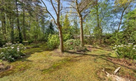 'Eweline' - 75m from the sea 2