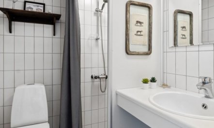 'Reimer' - 10m from the sea 5