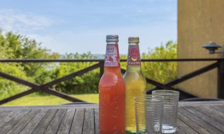 'Amlethus' - 375m from the sea 3